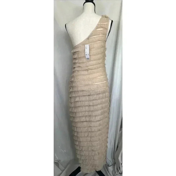 NWT Kimchi Blue Urban Outfitters Rita Ruffle Rose Dress Sheer Beige Tule Size M - Picture 5 of 16